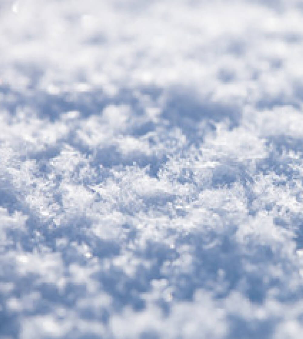 「魔法の粉雪」と呼ばれる雪質