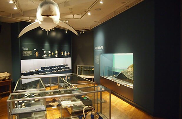 戸隠地質化石博物館