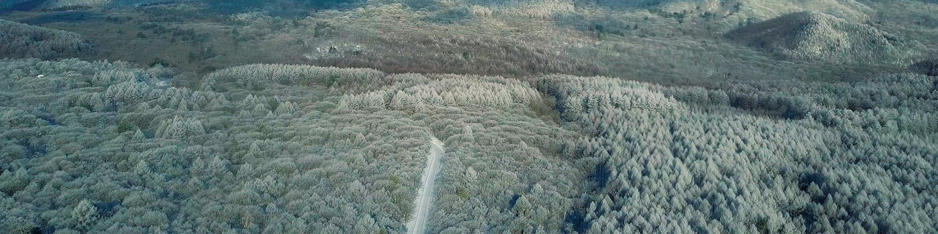 戸隠スキー場イメージ