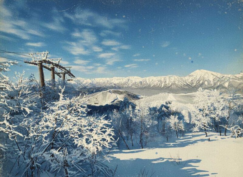 毎月第１・第3月曜日シニアデー