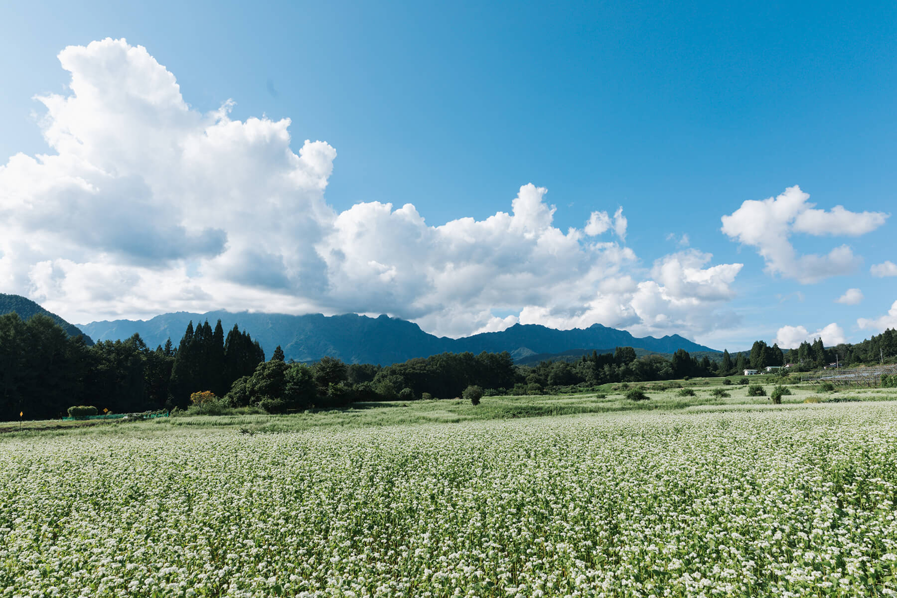 生ゴミ処理の​循環